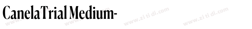 CanelaTrial Medium字体转换